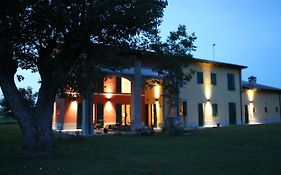 La casa dei gatti